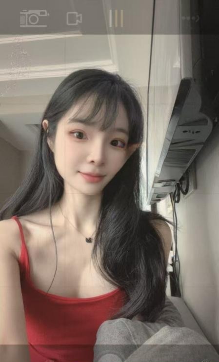 好看又可爱的小蝶回归 1 好看又可爱的小蝶回归