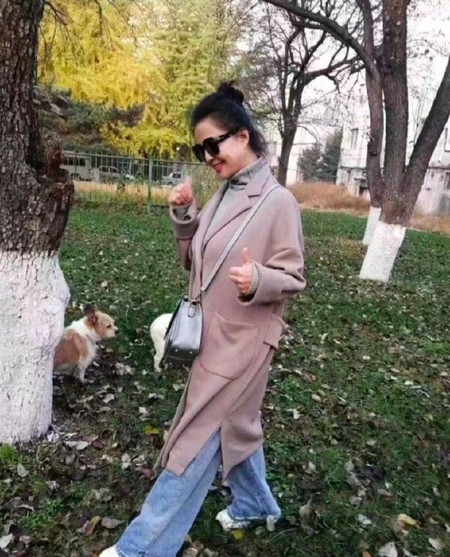 沈阳骚阿姨-51约啪