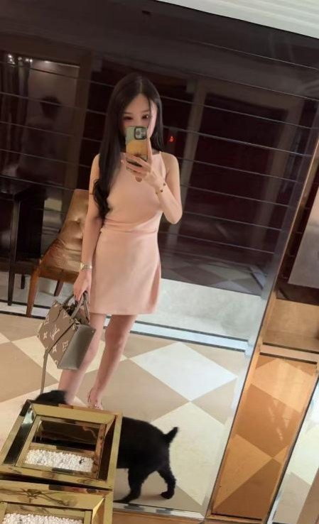 东站SM风骚佳怡-51约啪