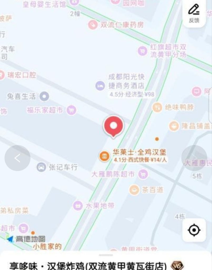 成都 双流 三叶街站街-51约啪