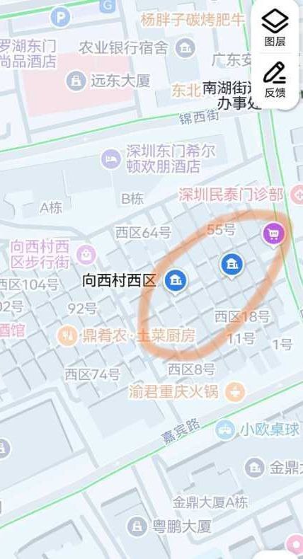 向西村西区站街-51约啪
