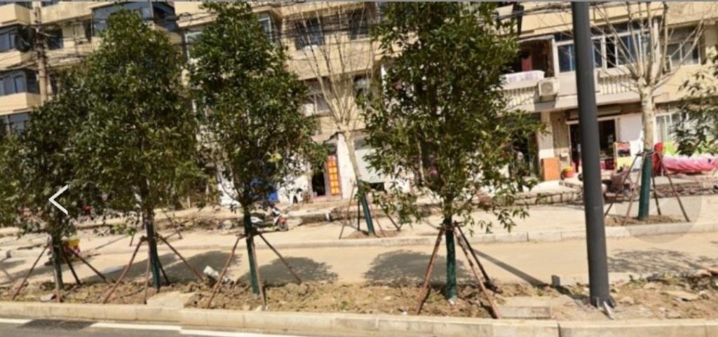 图片[2]-合肥 瑶海 探店-51约啪