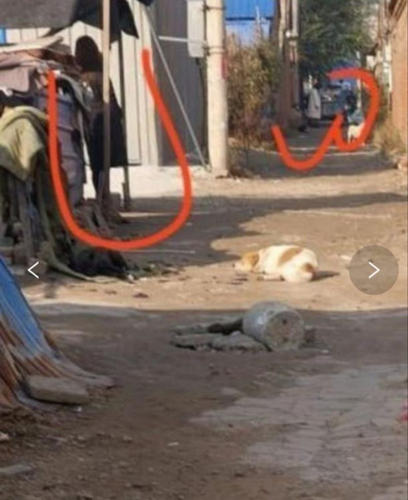 图片[2]-廊坊 香河南街村站街-51约啪