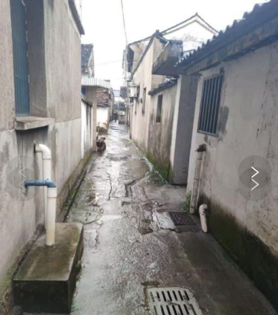 图片[2]-绍兴古镇扫街-51约啪