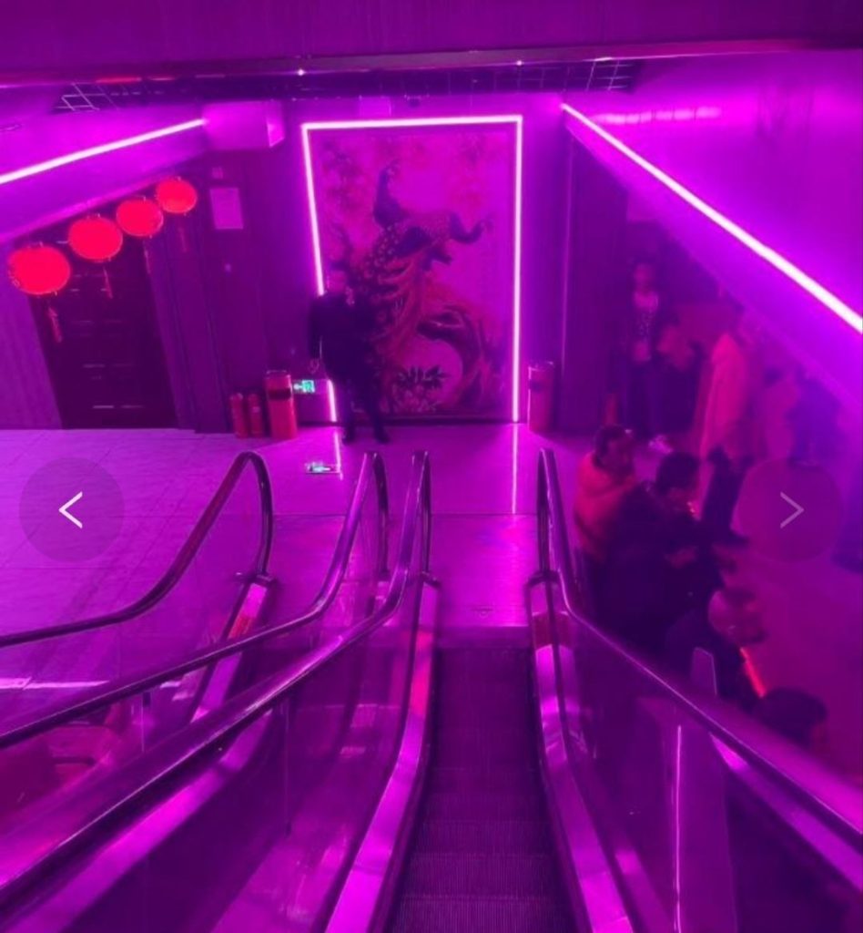 图片[3]-鞍山 舞厅体验-51约啪